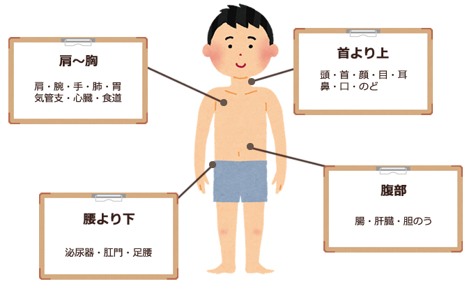 部位から探す
