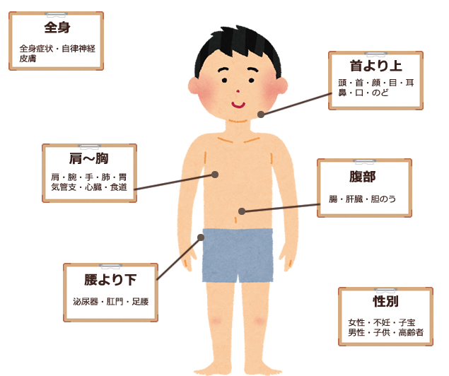 部位から探す